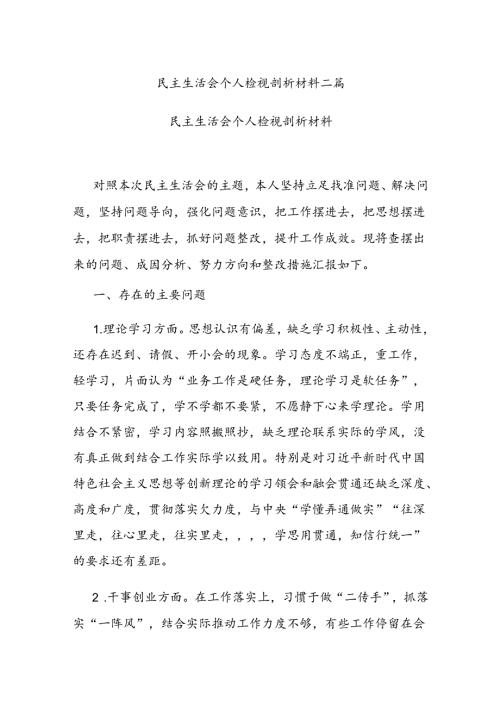 民主生活会个人检视剖析材料二篇.docx