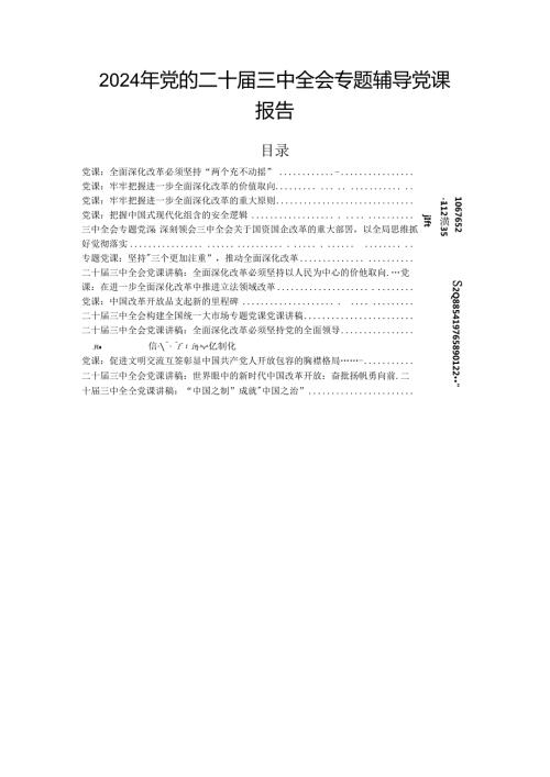 2024年党的二十三中全会专题辅导党课报告.docx