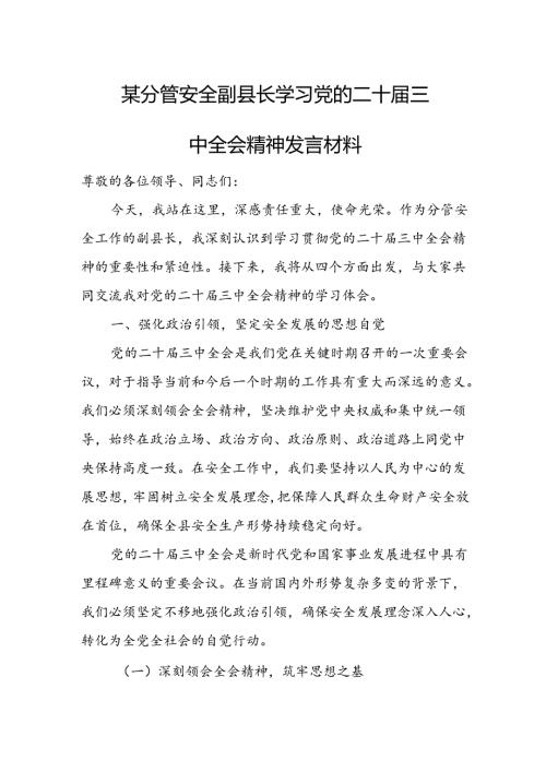 某分管安全副县长学习党的二十三中全会精神发言材料.docx
