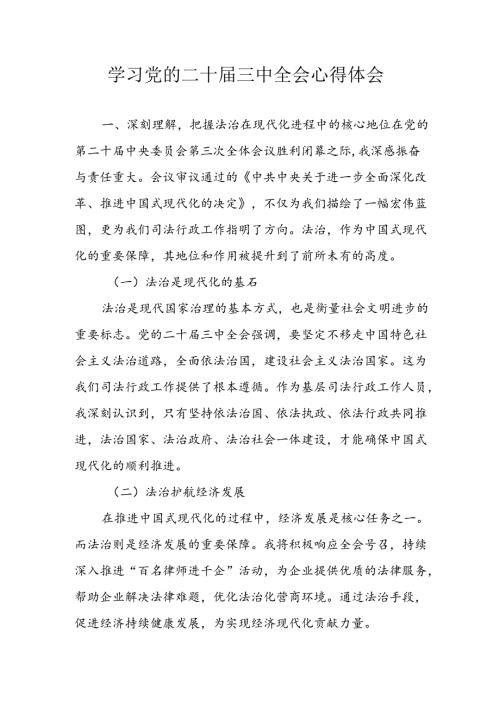 学习2024年学习党的二十三中全会个人心得感悟 （3份）90.docx