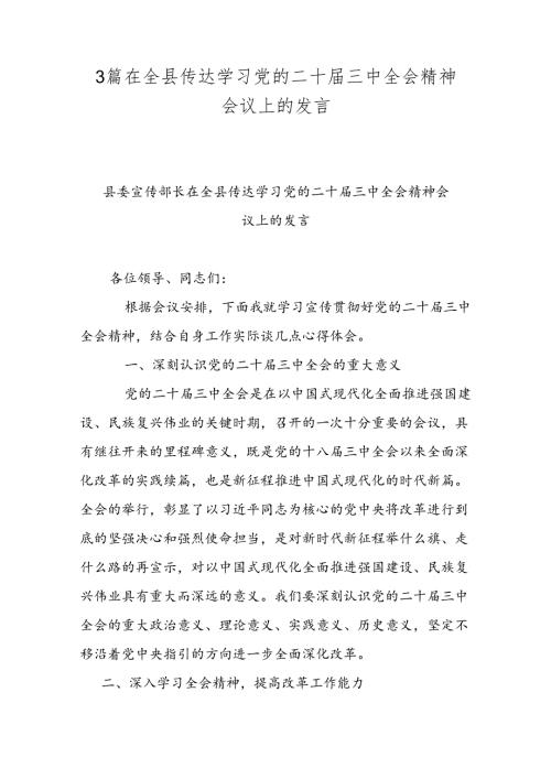 3篇在全县传达学习党的二十三中全会精神会议上的发言.docx