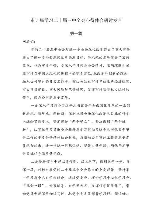 审计局学习二十三中全会心得体会研讨发言6篇.docx