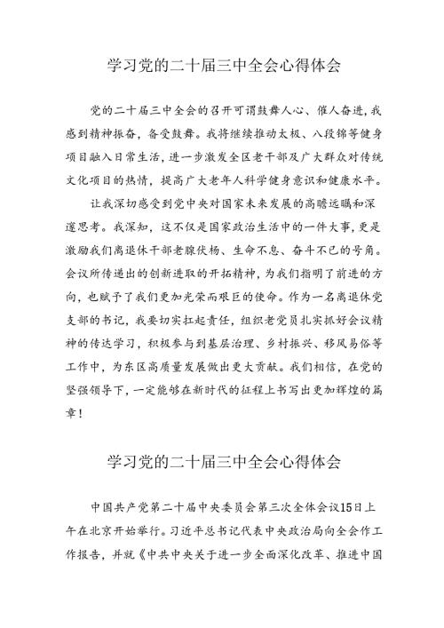 学习2024年党的二十三中全会心得体会 （11份）61.docx