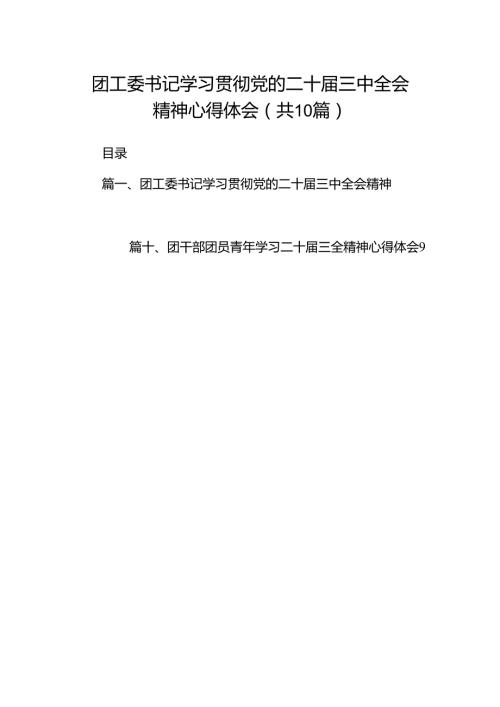 团工委书记学习贯彻党的二十三中全会精神心得体会（共10篇）.docx