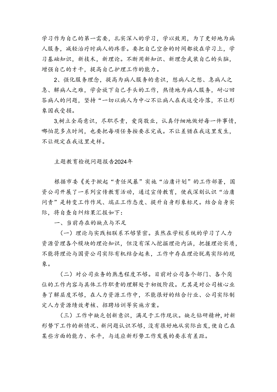 主题教育检视问题报告2024年.docx_第2页
