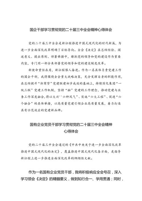 国企干部学习贯彻党的二十三中全会精神心得体会8篇（详细版）.docx