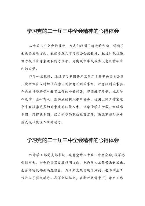 学习二十三中全会心得体会简短发言二十篇.docx