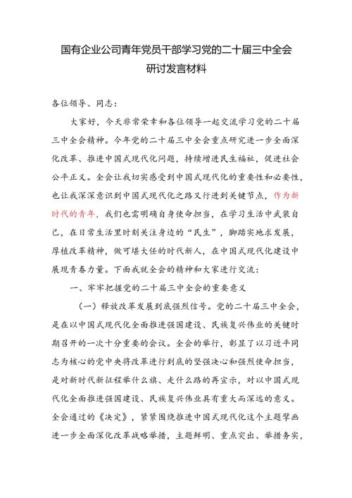 国有企业公司青年党员干部学习党的二十三中全会研讨发言材料.docx