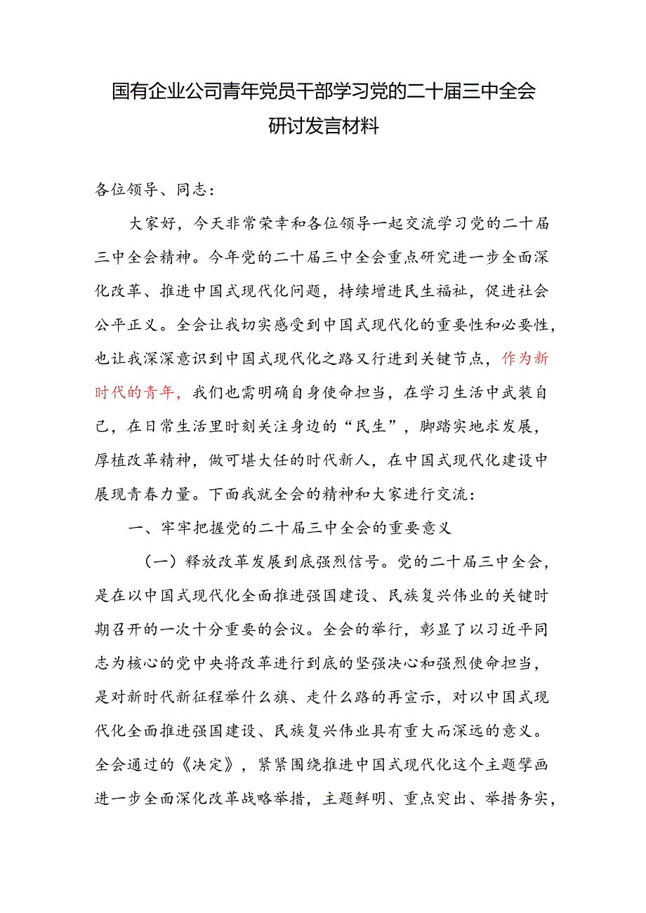 国有企业公司青年党员干部学习党的二十三中全会研讨发言材料.docx_第1页