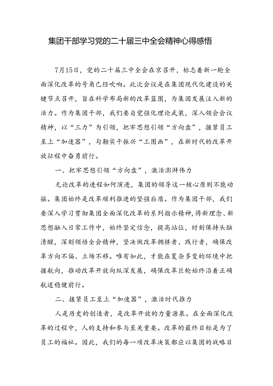 集团公司干部学习党的二十三中全会精神心得感悟研讨发言3篇.docx_第2页