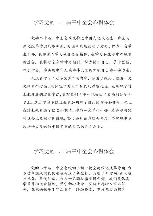 学习2024年党的二十三中全会心得体会 （13份）100.docx