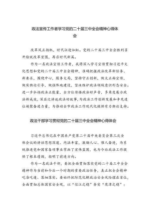 政法宣传工作者学习党的二十三中全会精神心得体会8篇（最新版）.docx