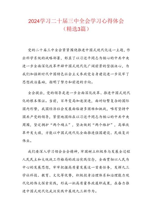 2024学习二十三中全会学习心得体会（精选3篇）.docx