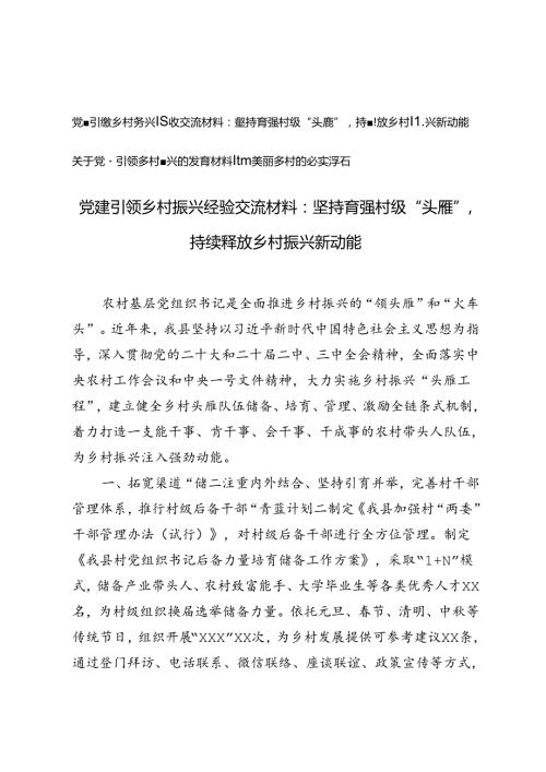 2024年党建引领乡村振兴经验交流材料.docx