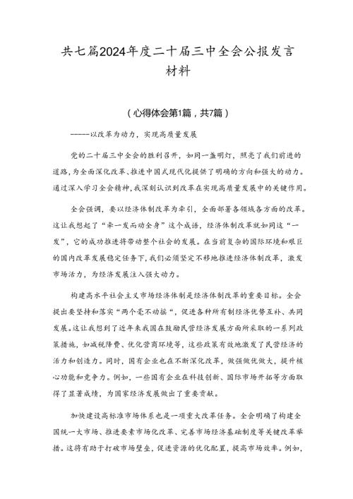 共七篇2024二十三中全会公报发言材料.docx