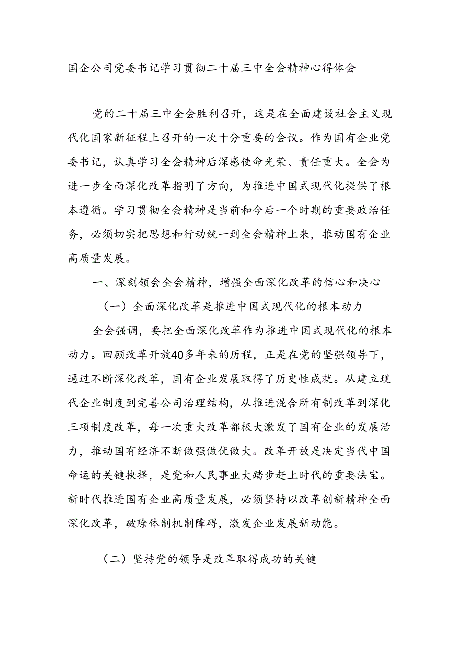 国企公司党委书记学习贯彻二十三中全会精神心得体会研讨发言.docx_第1页
