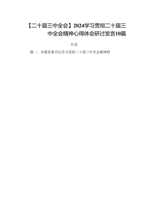 【二十三中全会】2024学习贯彻二十三中全会精神心得体会研讨发言10篇.docx