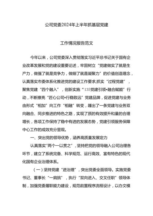 公司党委2024年上半年抓基层党建工作情况报告范文.docx