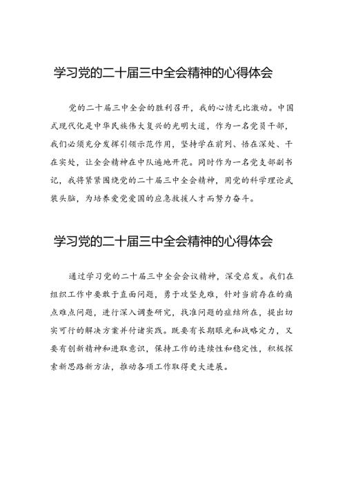 学习二十三中全会精神心得体会最新版三十篇.docx