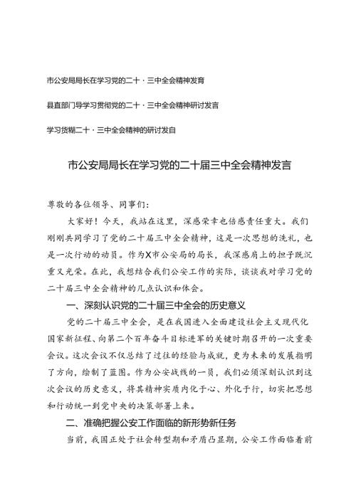 市公安局局长、县直部门副职领导在学习党的二十三中全会精神发言.docx
