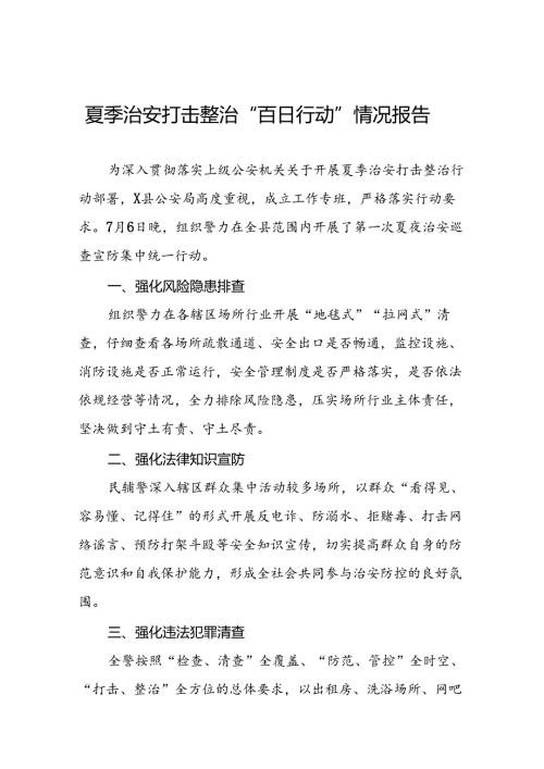 公安开展2024夏季治安打击整治清查行动工作总结(6篇).docx