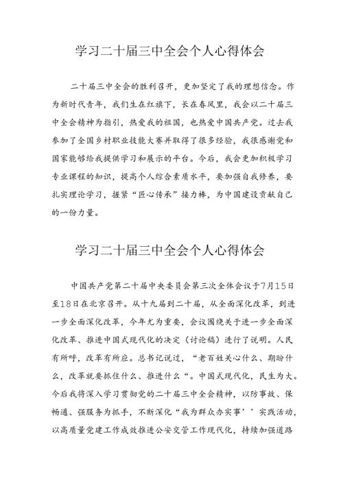 学习2024年二十三中全会个人心得体会.docx