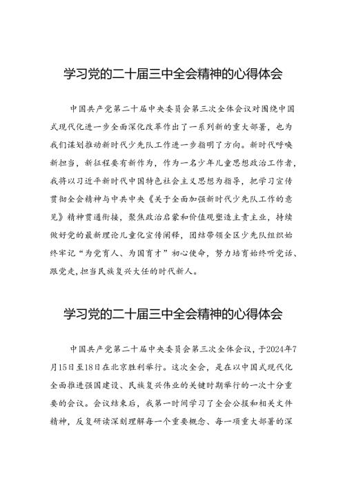 学习领会党的二十三中全会精神心得体会范文.docx