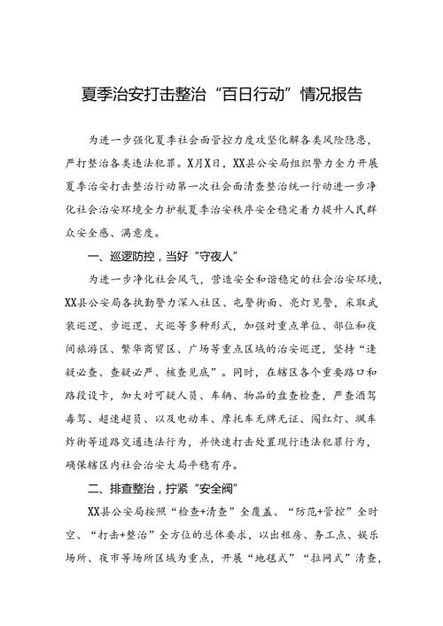 2024年公安开展夏季治安打击整治行动工作汇报6篇.docx