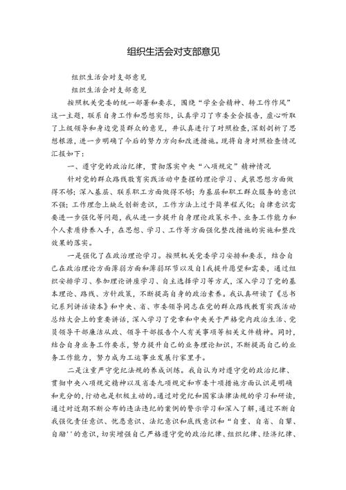 组织生活会对支部意见.docx