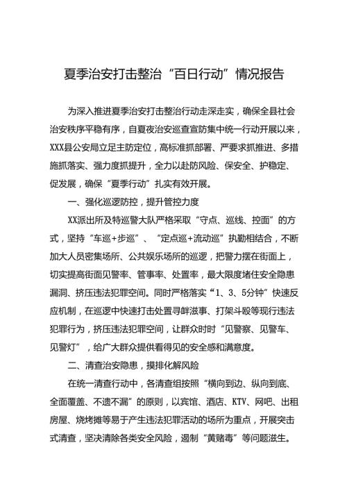 公安2024年夏季治安打击整治行动工作总结报告26篇.docx