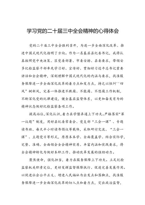 2024年党的二十三中全会精神学习体会交流发言稿模板三十篇.docx