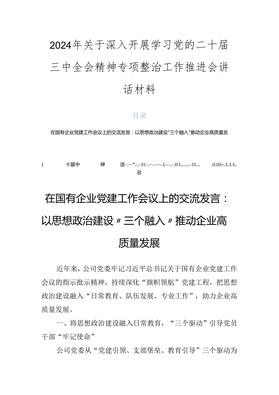 2024年关于深入开展学习党的二十三中全会精神专项整治工作推进会讲话材料.docx_第1页