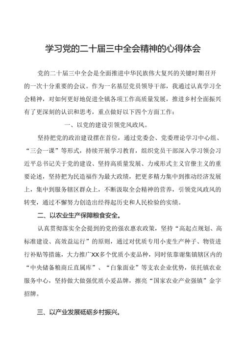 2024年党的二十三中全会精神学习体会最新范文三十篇.docx