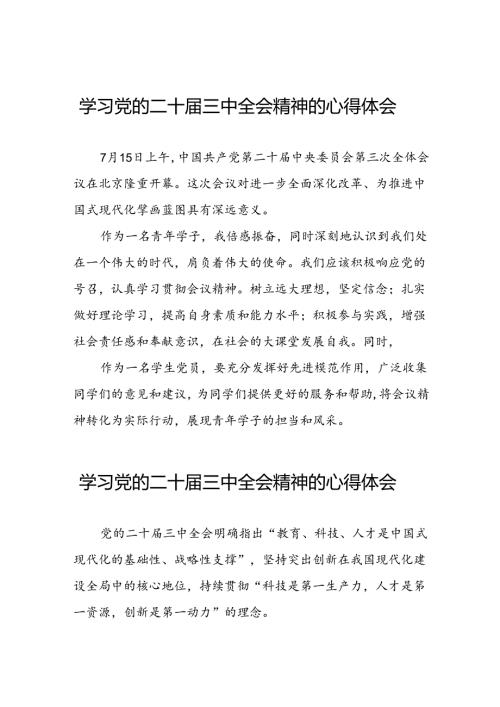 关于2024年党的二十三中全会精神的心得感悟39篇.docx