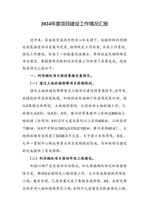 2024项目建设工作情况汇报.docx