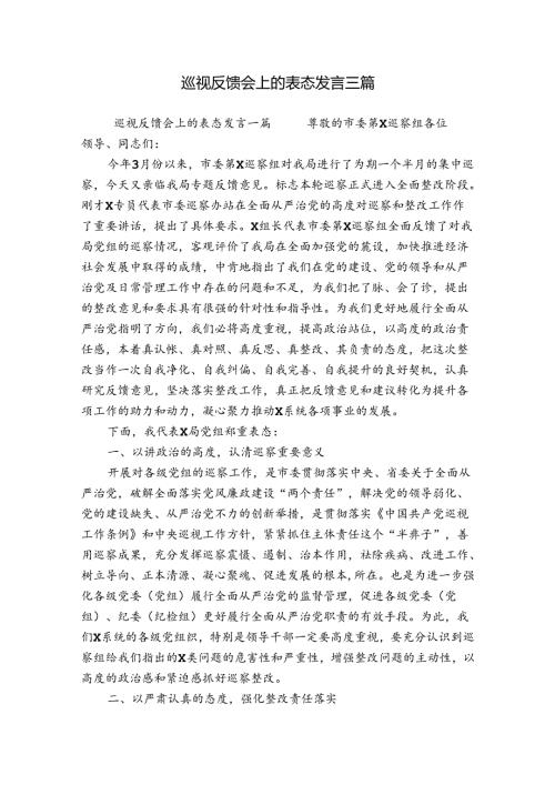 巡视反馈会上的表态发言三篇.docx