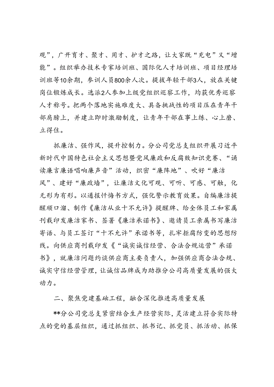 在集团党的建设高质量发展推进会上的汇报发言(1).docx_第3页