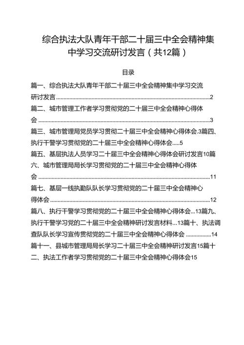 综合执法大队青年干部二十三中全会精神集中学习交流研讨发言12篇（最新版）.docx