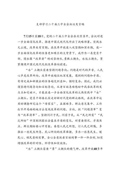 （9篇）支部学习二十三中全会决议发言稿（详细版）.docx