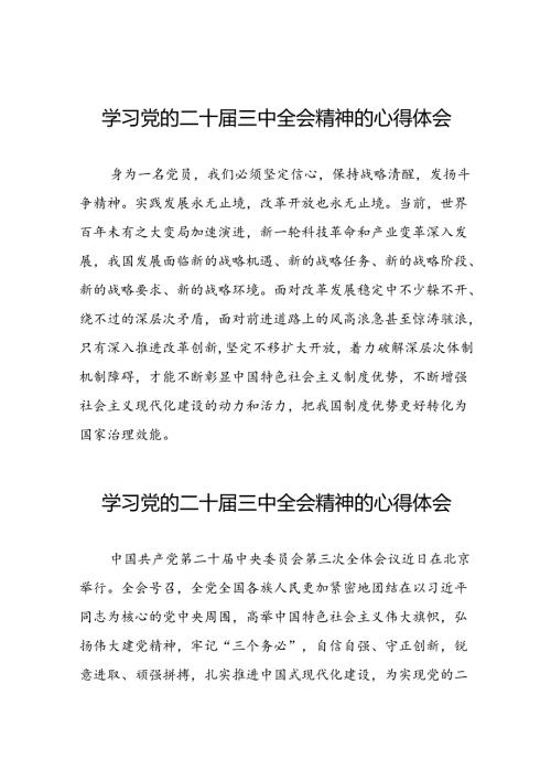 党员干部二十三中全会精神学习体会四十篇.docx