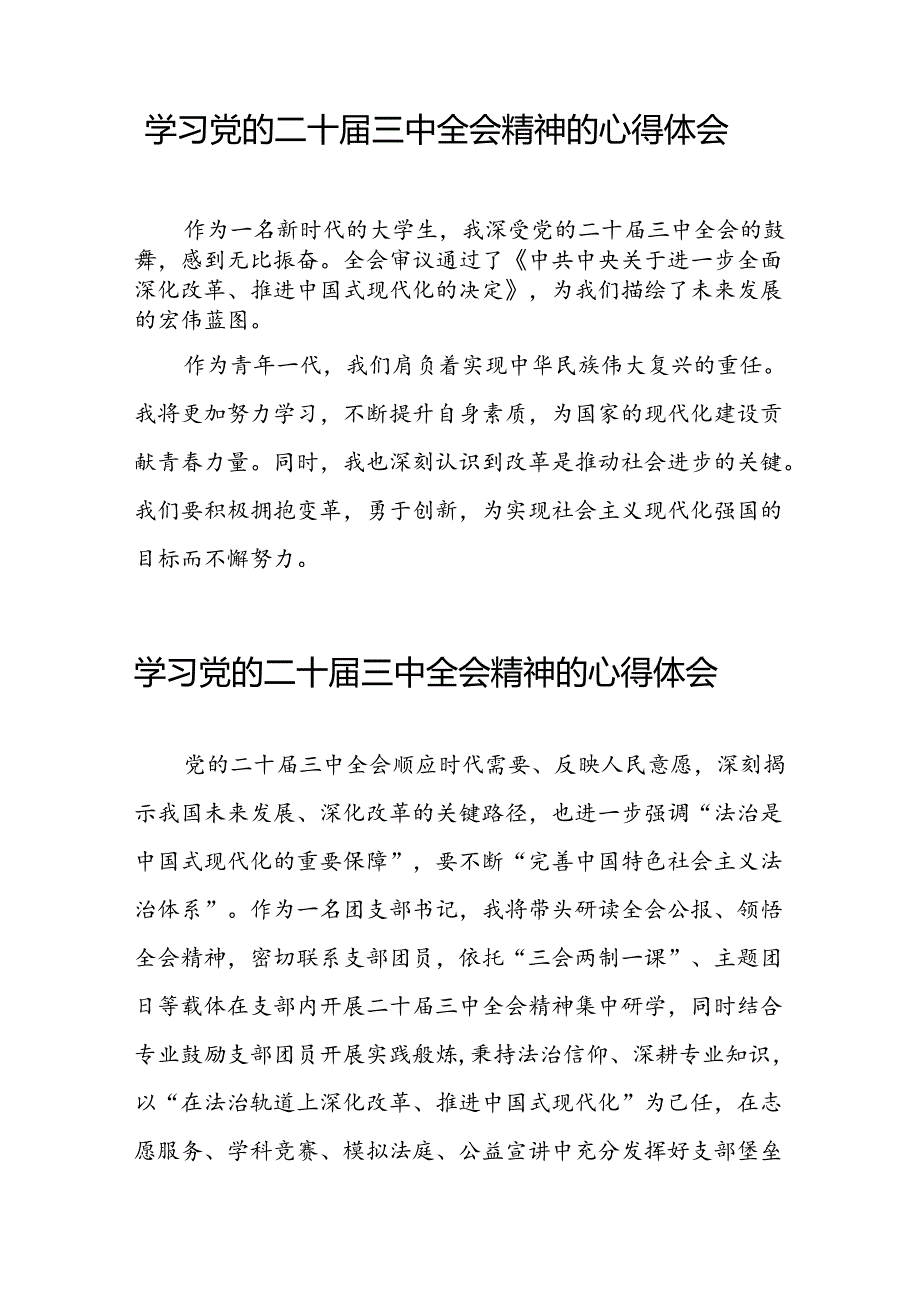 2024年党的二十三中全会精神学习体会简短发言四十篇.docx_第3页