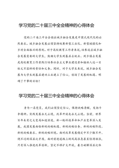 2024年党的二十三中全会精神学习体会简短发言四十篇.docx