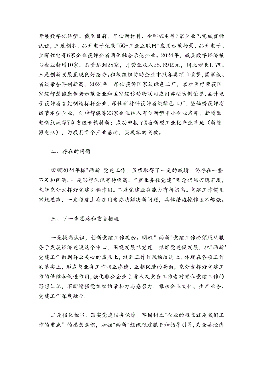 县工信局20242025年抓“两新”党建工作述职报告.docx_第3页
