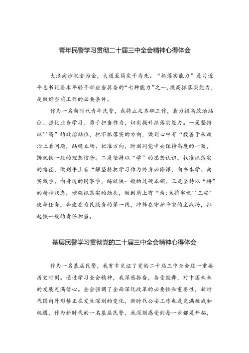 （9篇）青年民警学习贯彻二十三中全会精神心得体会集合.docx