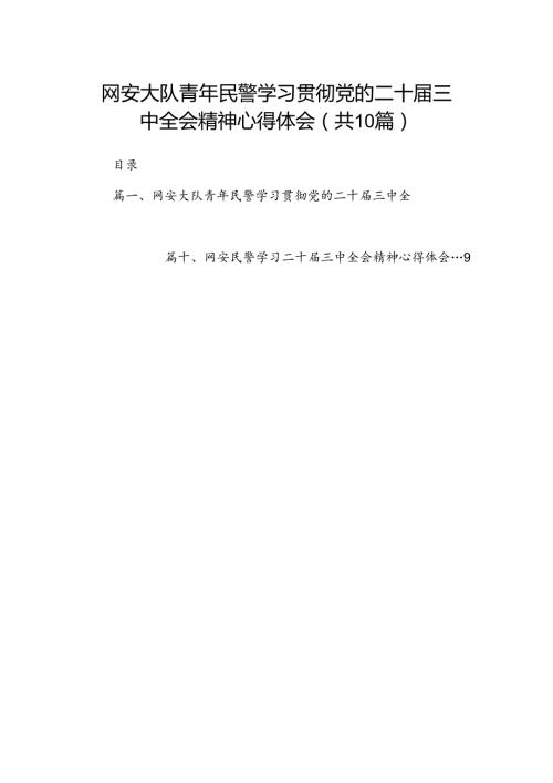 网安大队青年民警学习贯彻党的二十三中全会精神心得体会（共10篇）.docx