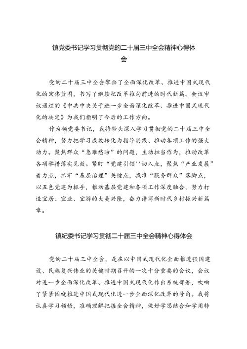 （9篇）镇党委书记学习贯彻党的二十三中全会精神心得体会最新.docx
