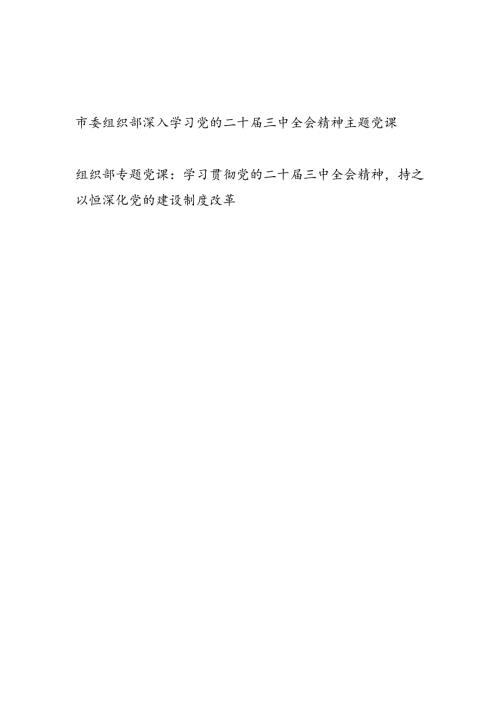 组织部长给组织部党员干部讲授深入学习党的二十三中全会精神主题党课讲稿宣传报告2篇.docx