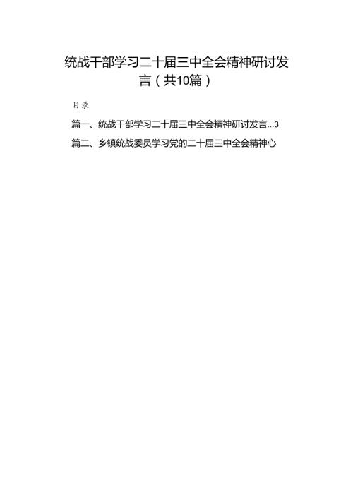 （10篇）统战干部学习二十三中全会精神研讨发言（详细版）.docx