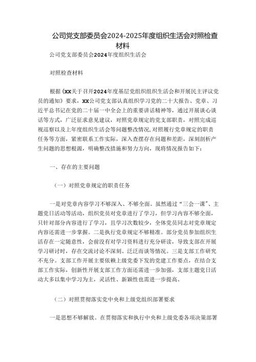 公司党支部委员会20242025组织生活会对照检查材料.docx