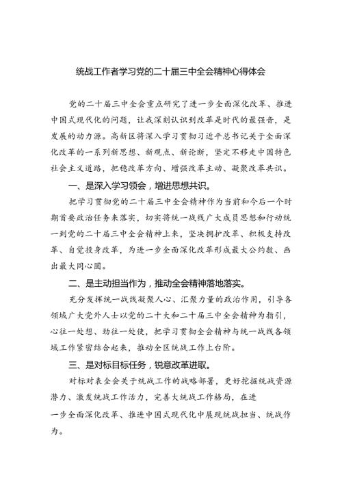 （9篇）统战工作者学习党的二十三中全会精神心得体会范文.docx